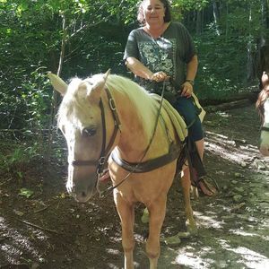 Meet your Posher, Paula